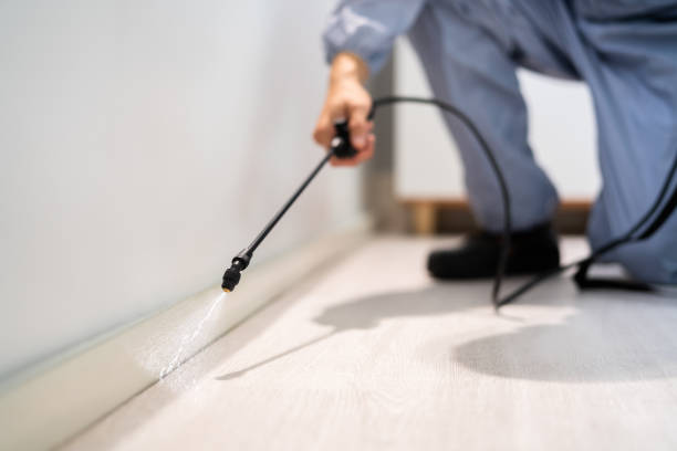Licensed Pest Control service in Clinton, SC - Show Me Pest Control