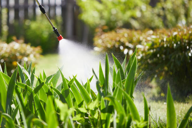 24/7 Emergency Wasp Removal experts in Clinton, SC