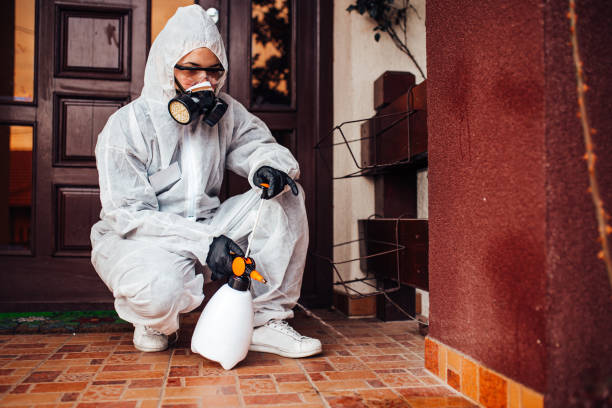 Reliable Wasp Removal contractor in Clinton, SC by Show Me Pest Control